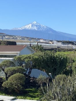 IMG_4931.jpeg