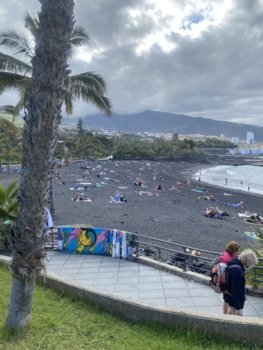 IMG_4964.jpeg