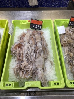 IMG_5472.jpeg