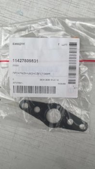 5409106552054029408.jpg