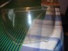 DSC01381.jpg