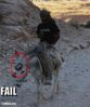 bmw.jpg