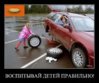x_5ba79432.jpg