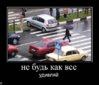 x_6b2fdbe7.jpg