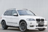 Hamann.jpg