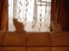DSC00047.2.JPG