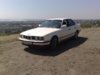 med_gallery_3426_3_570186.jpg
