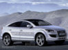 audi-q6-vine-sa-conc_800x0w.jpg