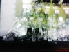 DSC01466.JPG
