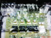 DSC01470.JPG