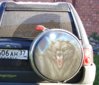 DSC02186-1.JPG