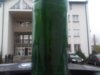IMG-20110421-00074.jpg