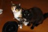 DSC02500.JPG
