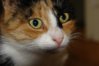 DSC02509.JPG