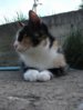 DSC03995.JPG