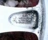 DSC00847.JPG