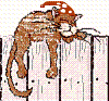 image.gif