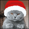eb59fb1d818d.gif