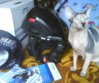DSC001501.JPG