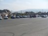 SDC17216.jpg