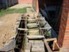 DSC01860.jpg