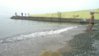 20090208_003.jpg