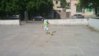 20090214_006.jpg