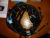 DSC01259.JPG