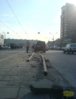 47986.jpg