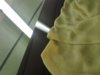 12082011382.jpg