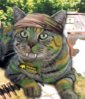 cat.jpg
