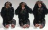 animals_694-1280x800.jpg