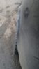 23092011520.jpg