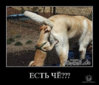 getImage.jpeg