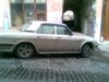 volga_240.jpg