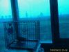 IMAG0211.jpg