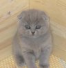 P1010690-compressed.jpg