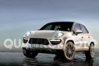 Baby_Cayenne_Porsche_Cajun_01.jpg