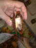 19102011112.jpg