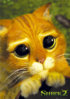 Shrek_2_Cat-eyes_L-01.jpg
