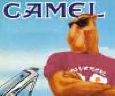 camel 22