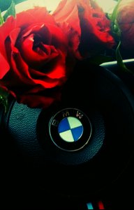 Распиновка разъемов на BMW