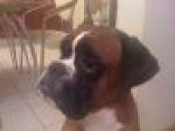 Wincent