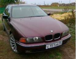 alexus151