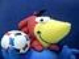 Footix2008