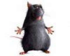 Erlick