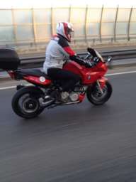 Bmd3