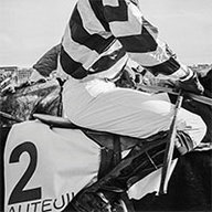 dmitrib