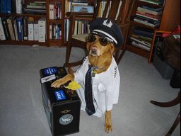 Pilot.