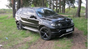 nikolau134